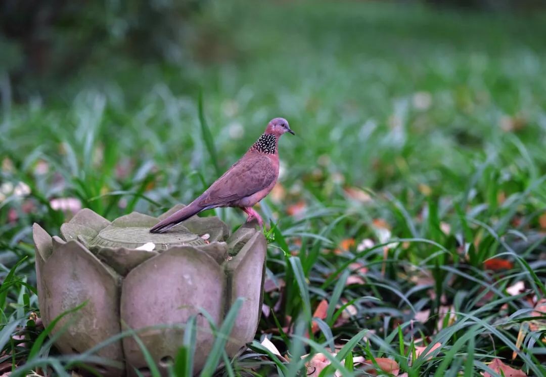 微信图片_20190423212320.jpg 微信图片_20190423212320.jpg