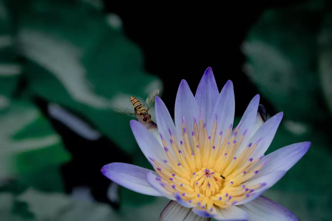 微信图片_20190712220323.jpg 微信图片_20190712220323.jpg