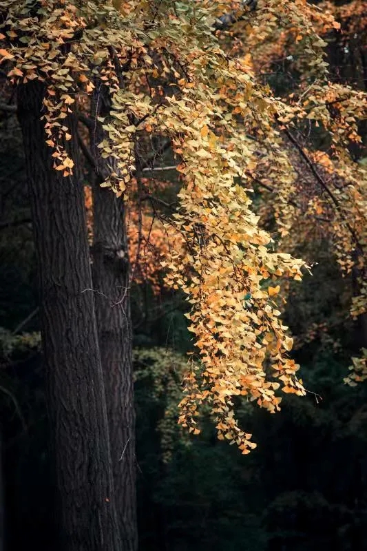 640.webp (93).jpg 640.webp (93).jpg